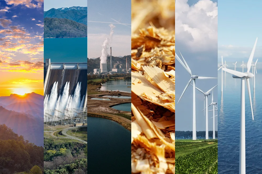 news_blog/title/2024/11/Feature-Renewable-Energy.webp